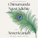 Cover of Americanah: A novel
