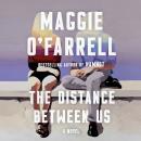 Cover of The Distance Between Us: A Novel