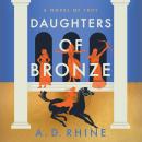 Daughters of Bronze: A Novel of Troy Audiobook