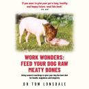 Work Wonders Audiobook