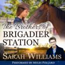 The Brothers of Brigadier Station Audiobook