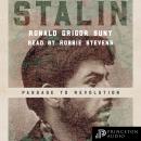 Stalin: Passage to Revolution Audiobook