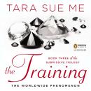 The Training Audiobook