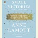 Small Victories: Spotting Improbable Moments of Grace Audiobook