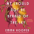 We Should Not Be Afraid of the Sky Audiobook