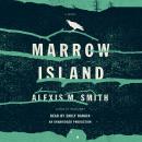 Marrow Island Audiobook