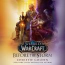 Before the Storm (World of Warcraft) Audiobook