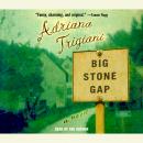 Big Stone Gap: A Novel Audiobook