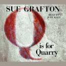 Q Is For Quarry, Sue Grafton