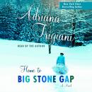 Home to Big Stone Gap Audiobook