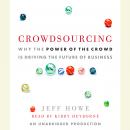 Crowdsourcing: Why the Power of the Crowd Is Driving the Future of Business, Jeff Howe
