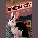 Bunnicula: Bunnicula Strikes Again!, James Howe