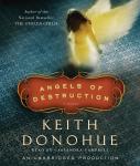 Angels of Destruction Audiobook