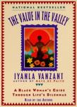 The Value In The Valley: A Black Woman's Guide Through Life's Dilemmas