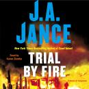 Trial By Fire: A Novel of Suspense