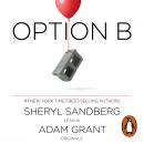 Option B: Facing Adversity, Building Resilience, and Finding Joy Audiobook