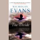 The Divide Audiobook