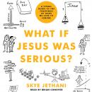 What If Jesus Was Serious?: A Visual Guide to the Teachings of Jesus We Love to Ignore Audiobook