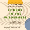 Liturgy in the Wilderness: How the Lord's Prayer Shapes the Imagination of the Church in a Secular A Audiobook