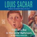 There's a Boy in the Girls' Bathroom, Louis Sachar