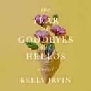 The Year of Goodbyes and Hellos Audiobook