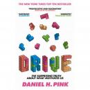 Drive: The Surprising Truth About What Motivates Us Audiobook