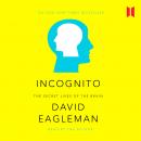 Incognito: The Secret Lives of The Brain Audiobook