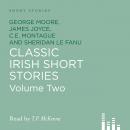 Classic Irish Short Stories: Volume 2 Audiobook
