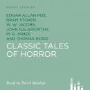 Classic Tales of Horror Audiobook