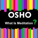 What Is Meditation? Audiobook