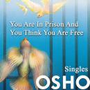 You Are in Prison and You Think You Are Free Audiobook