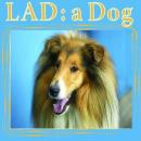 Lad: A Dog Audiobook