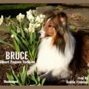 Bruce Audiobook