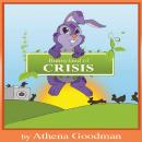 Bunnyland of Crisis Audiobook