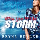 Wrong Side of the Storm Audiobook