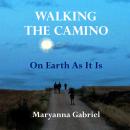 Walking The Camino: On Earth As It Is Audiobook