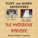 Fuzzy and Romeo Adventures: The Mysterious Intruder Audiobook