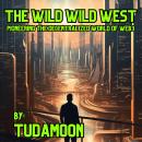 The Wild Wild West: Pioneering the Decentralized World of Web3 Audiobook