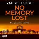No Memory Lost: The Dublin Murder Mysteries Book 4 Audiobook
