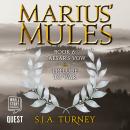 Marius' Mules VI: Caesar's Vow and Prelude to War: Marius' Mules Book 6 Audiobook