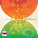 What We Need to Do Now: For a Zero Carbon Future Audiobook