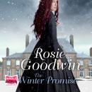 The Winter Promise Audiobook