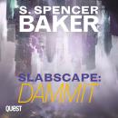 Slabscape: Dammit: Slabscape Book 2