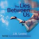 The Lies Between Us Audiobook
