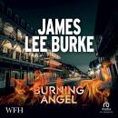Burning Angel Audiobook