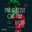 The Dazzle of the Light Audiobook