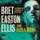 The Shards Audiobook
