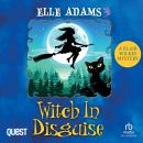 Witch in Disguise: A Blair Wilkes Mystery Book 4 Audiobook