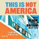 This is Not America Audiobook