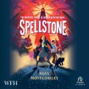 Spellstone Audiobook